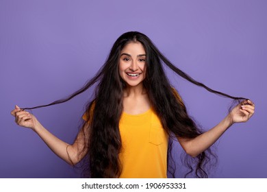 Hair Care And Therapy Treatment Concept. Portrait Of Smiling Indian Woman Posing And Holding Dark Long Hair With Curls. Beautiful Young Lady Standing Isolated Over Purple Studio Background, Copy Space