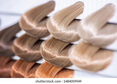 Blonde Hair Dye Colors Chart Images Stock Photos Vectors
