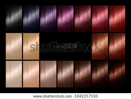 different hair dye colors highlight hair color palette with range of swatches showing the different colors dyes on color palette range swatches showing stock photo edit now different hair dye colors highlight hair color palette with range of swatches showing the different colors dyes on color palette range swatches showing stock photo edit now