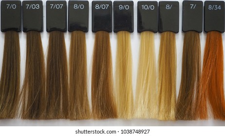 1000 Hair Palette Color Stock Images Photos Vectors