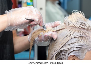 hair coloring in the salon - Shutterstock ID 213388423