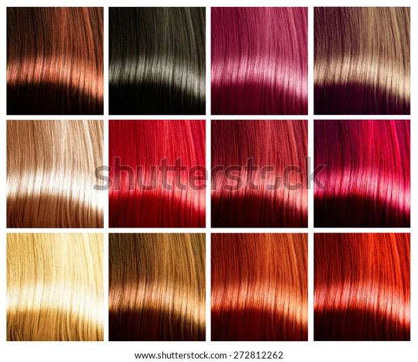 Hair Colors Palette Hair Colours Set Stock Photo (Edit Now) 272812262