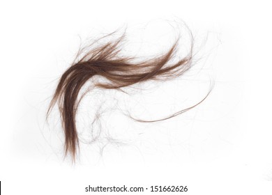 hair cut off on white background - Powered by Shutterstock