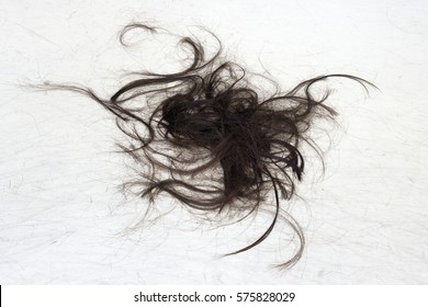 Hair Cut Of On The Floor