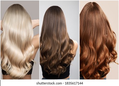 Hair of different shades of brunette, blonde and red. Woman collage back view