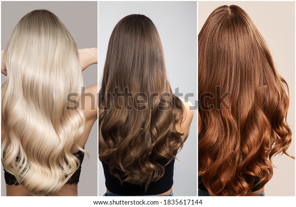 Hair of different shades of brunette, blonde and
red. Woman collage back
view