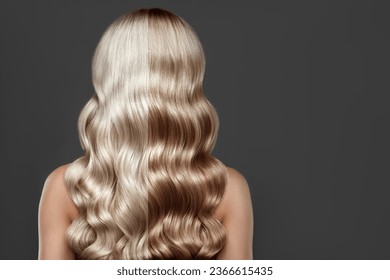 Hair dying and colouring before and after. Females Healthy Long blonde Shiny Wavy hairstyle. Volume shampoo.  Beauty salon and haircare concept. - Shutterstock ID 2366615435