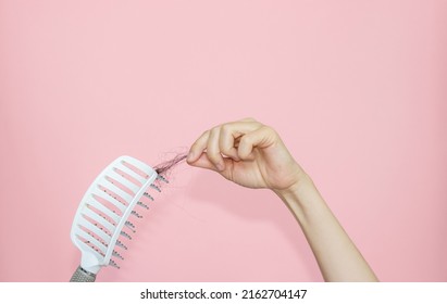 Hair Fall Out Concept. Isolated Hands With Hair Brush And Another Hand Drags Hair Clump From Brush. Pink Background.postpartum Hair Loss, Hormonal Disbalance.mockup,free Space