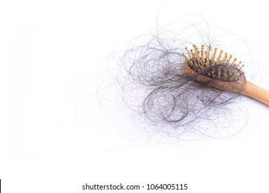 Hair Loss, Hair Fall Everyday Serious Problem, On White Background.