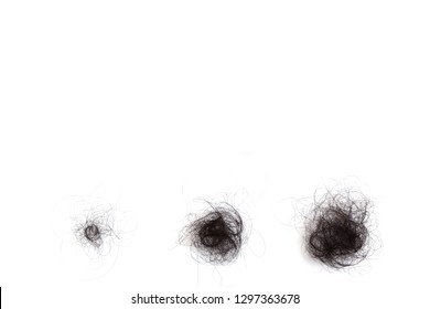 Hair Loss, Hair Fall Everyday Serious Problem On White Background.