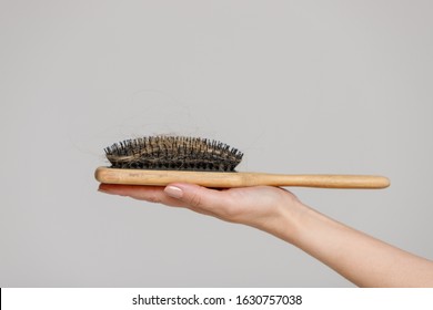 Hair Loss Problem After Covid-19 Disease, Postpartum Period, Menstrual Or Endocrine Disorder, Hormonal Disbalance, Menopause, Stress Concept. Close Up Of Woman Hand Holding Comb Brush With Lost Hair.