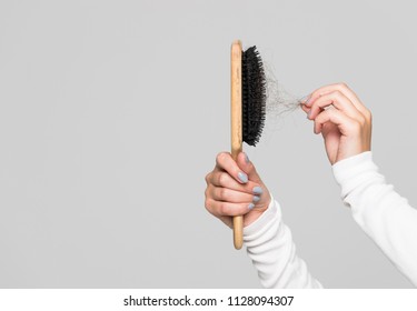 Hair Loss Problem, Postpartum Period, Menstrual Or Endocrine Disorder, Hormonal Disbalance, Stress Concept. Many Hair Fall After Combing In Hairbrush.Female Untangles Her Hair With A Comb, Copy Space 