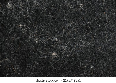 A lot of the hair of a moulting cat. Cat hair on rug or carpet. The concept of how to remove pet hair on the carpet.  Allergy. Housekeeping. - Shutterstock ID 2195749351