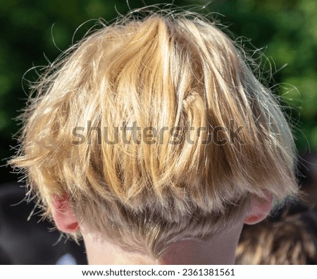 Similar – Image, Stock Photo undercover Bengel II Grass