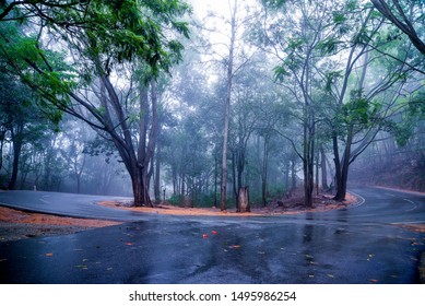 Hair Pin Bend Road Curve