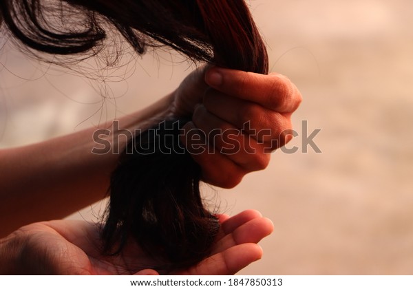 Hair with problems. Hair in bad\
condition, Closeup woman hand with hairs, Hair care\
concept