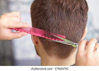 Hair Salon Woman Haircut Cutting Stock Photo 179654753 Shutterstock Hair Salon Woman Haircut Cutting Stock Photo 179654753 Shutterstock
