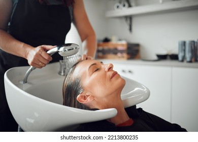 Hair salon, shampoo and customer woman for professional care, hairdresser service in startup shop, Beauty process, water cleaning and client hair care treatment for hairstylist small business career - Powered by Shutterstock