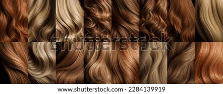 Hair set woman color coloring, hair care, styling and hairstyle blonde and red color, texture