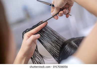 Hair Styling. Close Up Picture Of Hands Holding Hair Lock And Scissors