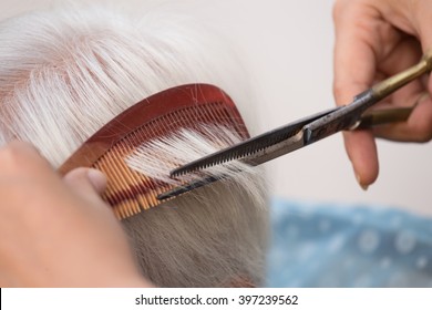 Hair stylist cutting senior woman's gray hair - Powered by Shutterstock