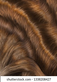 Hair. Hair Texture. Healthy hair - Shutterstock ID 1338208427