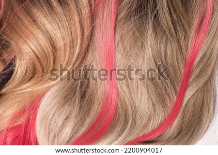 The hair texture of wavy human hair with the pink highlights