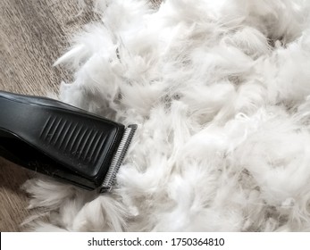 Hair Trimmer And Cat Or Dog Hair Lying On The Floor. Grooming Pets At Home. Removal Of Excess Hairs In The Summer To Improve The Well-being Of The Animal And Heat Transfer. Grooming And Pet Care