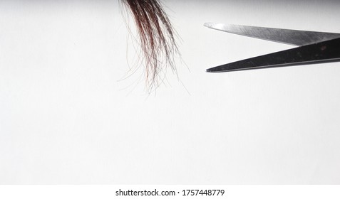 Hair Tuft Dark Brown Scissors On Stock Photo 1757448779 | Shutterstock