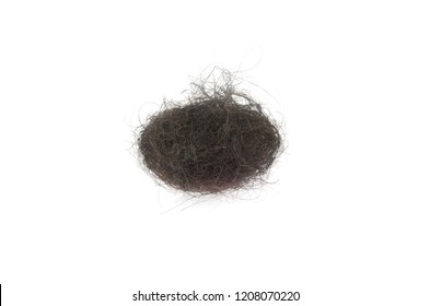 Hairball Isolated On White
