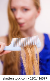 Haircare. Blonde Girl Showing Her Damaged Dry Hair Ends On Comb