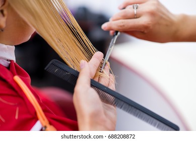 Haircuts. - Shutterstock ID 688208872