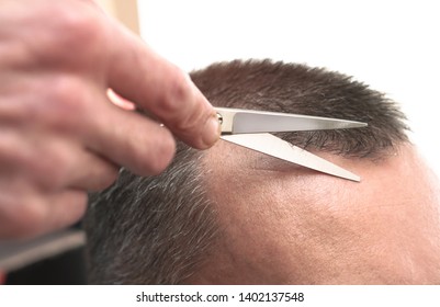 Head Men Hair Stock Photos Images Photography Shutterstock