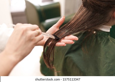 Hairdresser Applies A Hair Mask To The Woman In The Beauty Salon. Botox And Keratin Hair Straightening Procedure