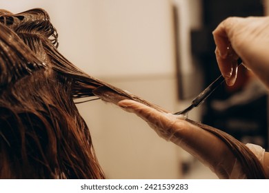 hairdresser coloring hair in studio. High quality photo - Powered by Shutterstock