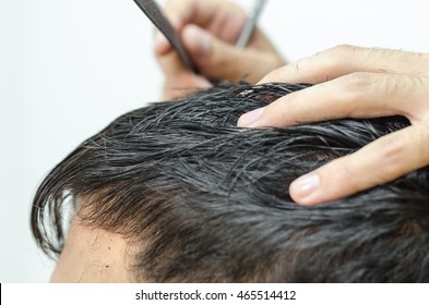 Hairdresser Cuts A Customer Piece Of Hair