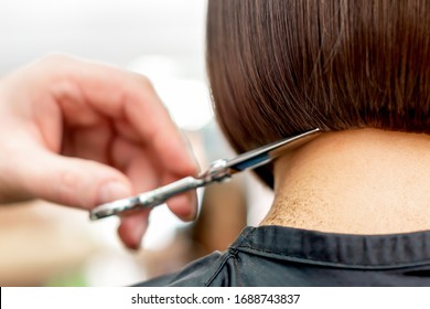 Hairdresser cuts hair tips of short hairstyle of woman back view with copy space. Toned.