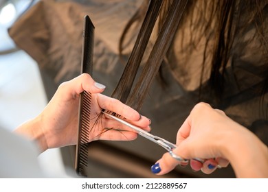 hairdresser cutting hair for young female customers with scissors to cut hair in a beauty salon
