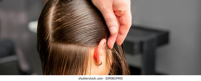 23,152 Separating Hair Images, Stock Photos & Vectors | Shutterstock