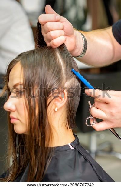 Hairdresser divides female\
hair into sections with comb holding hair with her hands in hair\
salon close up