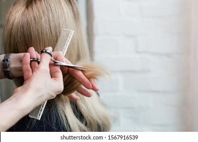 Hairdresser doing haircut. Professional hairdresser scissors, brush on workplace. Professional Hairdresser tools, equipment. Hairdresser service. Beauty salon service. Close up with space for text. - Powered by Shutterstock