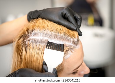 The Hairdresser Is Dyeing Blonde Hair Roots With A Brush For A Young Woman In A Hair Salon