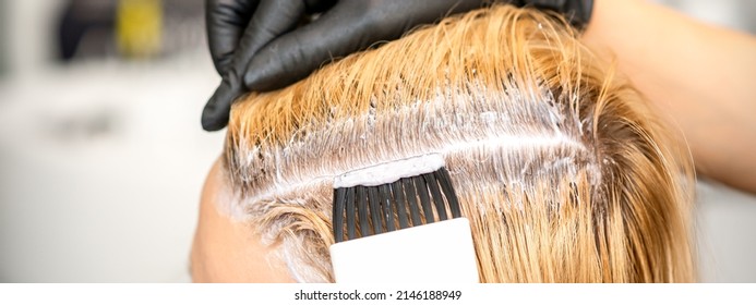 The Hairdresser Is Dyeing Blonde Hair Roots With A Brush For A Young Woman In A Hair Salon