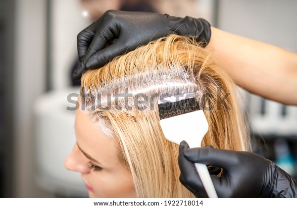 The hairdresser dyeing blonde hair roots
with a brush for a young woman in a hair
salon