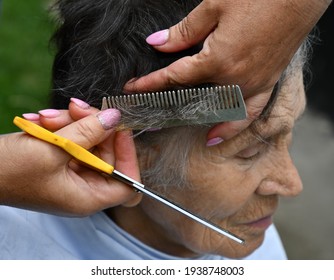 Hairdresser Hands Hold Scissors And Comb To Cut Gray Hair Of 80s Senior Woman With Wrinkled Skin Face. Haircut Of My Granny At Home While Quarantine