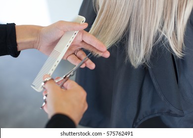 Hairdresser Makes The Hair Cut The Girl With Long Hair