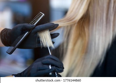 A Hairdresser In Rubber Gloves Holds A Pair Of Scissors And A Comb. Woman Getting A New Haircut. A Hairdresser With Security Measures For Covid-19. Hairdressing Salon Opened