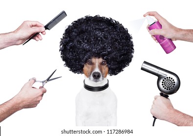 Hairdresser  Scissors Comb Dog Hairdryer Hairspray