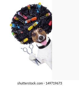 Hairdresser Scissors Dog With Hair Rollers