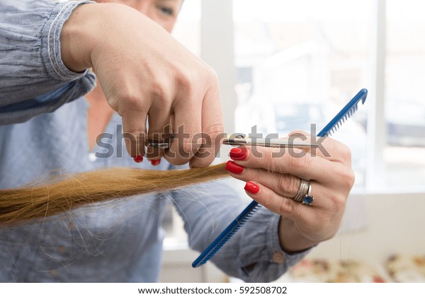 Hairdresser Trimming Ombre Hair Scissors Beauty Royalty Free